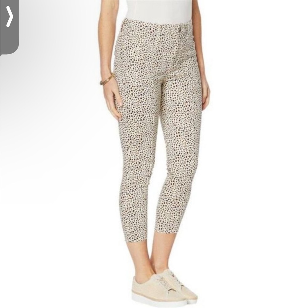 High Rise Cheetah Skinny Jeans
